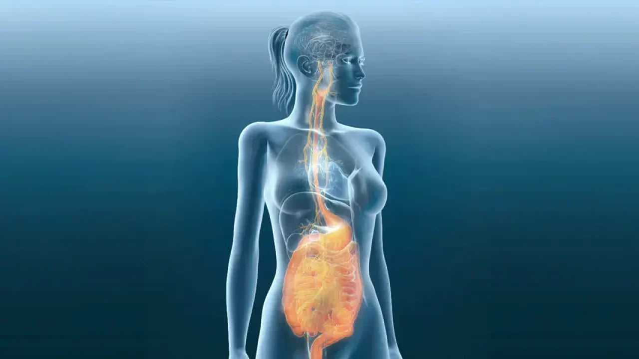 Pulsetto for gut problems